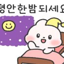 단지속쭈꾸미 이미지