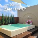 덕암로 | 스테이아야나 파티룸 | 대전 여행 풀빌라 숙소 추천 | 물놀이 자쿠지 호텔 내돈내산 후기
