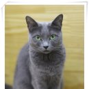 불광동물병원 이미지