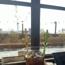 명성식당 | 해운대 청사포 맛집 올바릇식당 방문 후기 블루리본의 명성을 잇는 꼬막육전대판