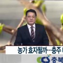 효자로 R 이미지