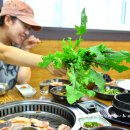 텃밭에서 키운 야채와 흑돼지의 만남! 제주도맛집 표선『해오름정육식당』 이미지