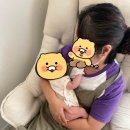믿음 | 평택 산후도우미 위생, 아기 케어 하나하나 믿음 갔던 후기