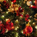 해피행정사사무소 이미지