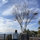 일죽목욕탕 | 겨울이 기대되는 이유 : 붕어빵