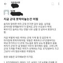 여자도 군대가자는 이화여대 에타녀 이미지