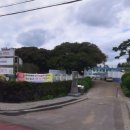 표선면 표선중학교 이미지