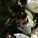 병곡초등학교병설유치원 이미지