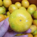 나영농장 이미지