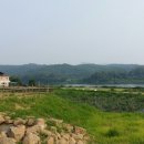 한들벌블루베리