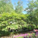 진도허브 | 허브나라농원 산책｜반려견 동반 가능한 힐링 코스 중형견 후기