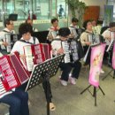 아코디언1 이미지