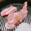 신도빌딩 | 강남역고기집 룸식당 신도세기 내돈내산 솔직 후기!