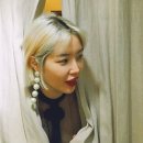 김새롬 카카오 검색결과