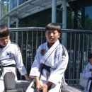 화랑합기도 특공무술 이미지