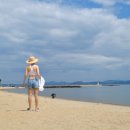 율포해수욕장 이미지