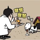 오가네순대국 이미지