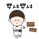 용인대 수석태권도장 이미지