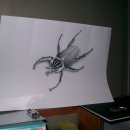 보문그린 이미지