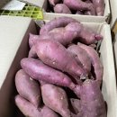 현주상회 이미지