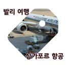 949 | [여행/발리] 싱가포르항공 싱가포르 경유 탑승 후기 : 발리행(SQ607, SQ944) 인천행(SQ949,SQ606)