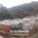 미선바이오 이미지