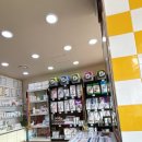 청평동물병원 | 강아지 중성화 비용 청평동물병원에서 십만원대에 했어요!