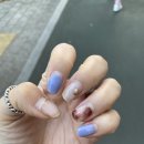 심바는 크리스마스 이미지