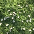 다수식당 이미지