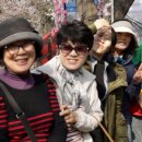 남해돼지국밥 이미지