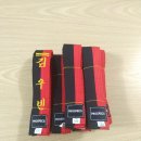 금샘태권도장 이미지