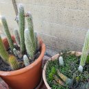 김박사약국 이미지