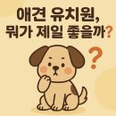 좋은유치원 | 애견 유치원, 정말 필요할까? 반려견 사회화의 모든 것