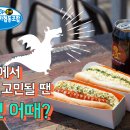 드레곤핫도그