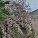 명문요양병원 이미지