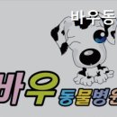 바우동물병원 | 안성동물병원 바우동물병원 진료 전문성을 갖춘 병원