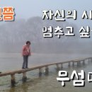 한 번쯤 이곳에서 자신의 시간을 멈춰보세요, 영주시 무섬마을[동영상] 이미지