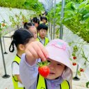 버클리어린이집 이미지