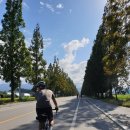 월호평길 이미지