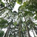 계절이 지나가는 하늘 이미지