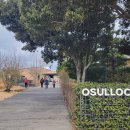 아모레관광 이미지