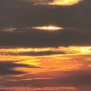 백씨네가든 이미지