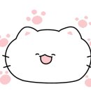 홋코리 이미지