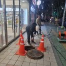 네오코아 이미지