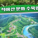 춘천IC(하) 이미지