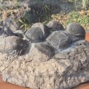 비봉화석지 이미지