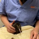 플렌티숲 이미지