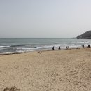 송정강정 이미지