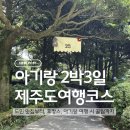 호텔 더 도두 | [공지] 아기랑 제주도 2박3일 코스 추천｜신라스테이 이호테우부터 제주신라호텔까지