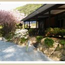 장미민박 이미지